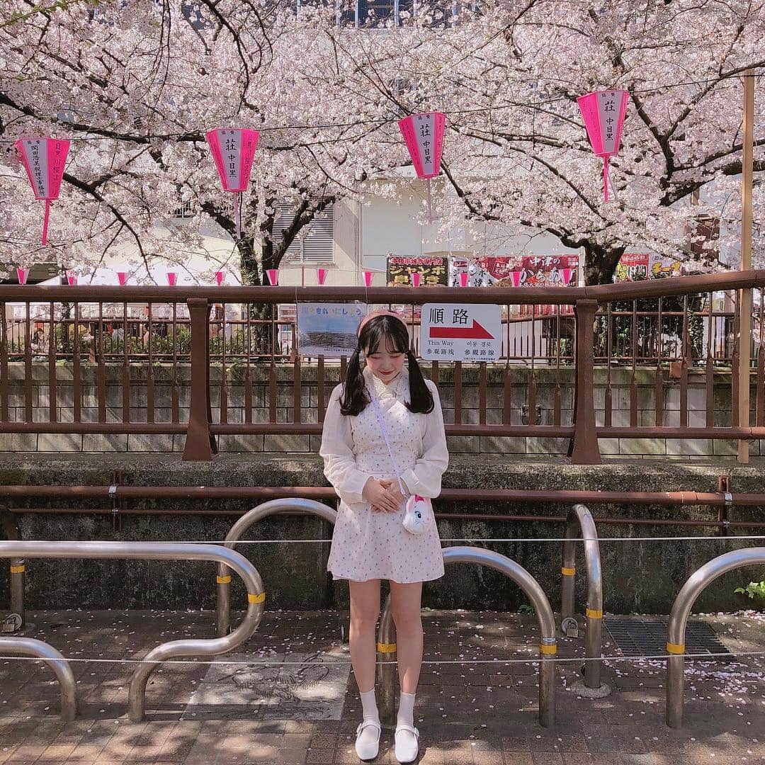 ユンジュさんのインスタグラム写真 - (ユンジュInstagram)「벚꽃 엔딩 🎀 #sinoon #시눈 #bestsinoongirl #도화xTokyo」4月7日 14時03分 - __pink_tape