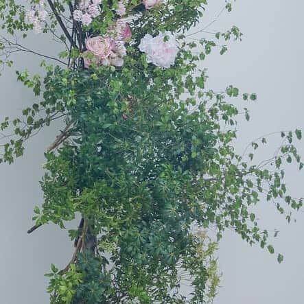 Dresses (ドレッシーズ)のインスタグラム