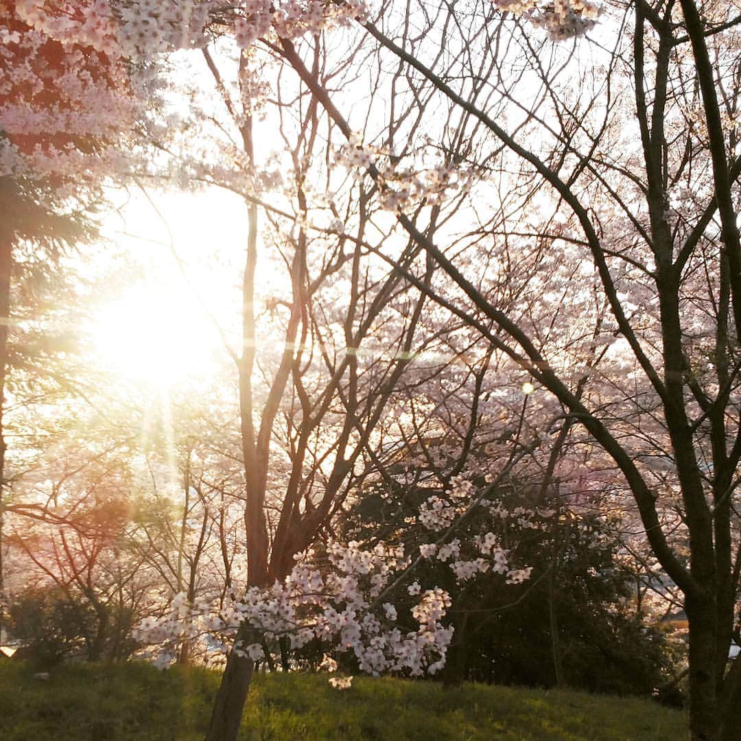 市川笑野のインスタグラム