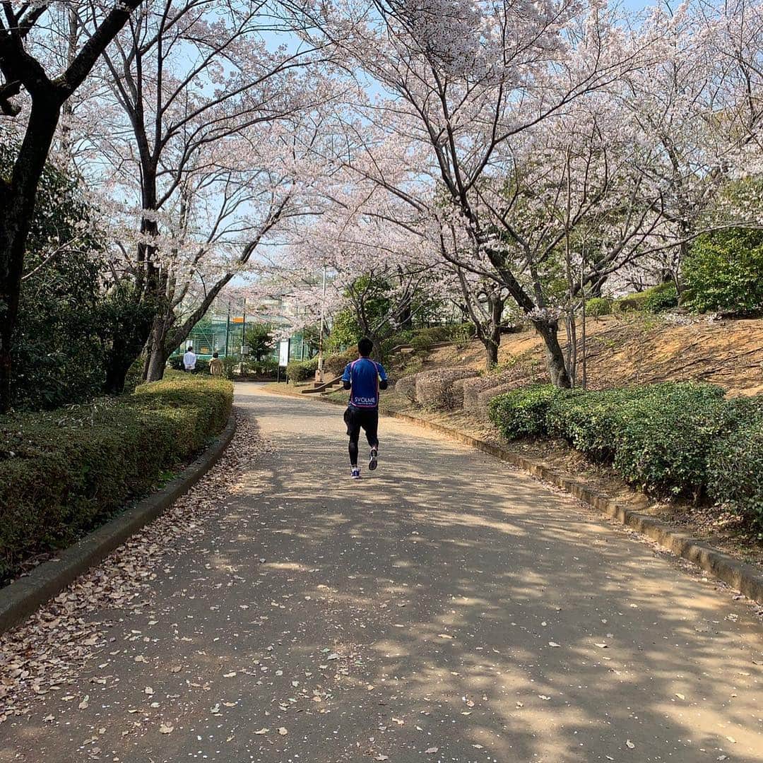 永里源気のインスタグラム：「‪リカバリーがてら、ジョギングしながら花見しながら投票行ってきました🙆‍♂️一石三鳥✨😊ちょうど良い暖かさで気持ちよかったー✨#厚木市 #鳶尾中央公園 #リカバリー #桜 #神奈川県知事選挙 #神奈川県議会議員選挙 ‬」