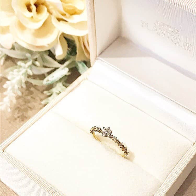 JKプラネット銀座.表参道.福岡|結婚指輪セレクトショップさんのインスタグラム写真 - (JKプラネット銀座.表参道.福岡|結婚指輪セレクトショップInstagram)「💍 @JKPlanet.jewelry JUPITER BLANTELIE - ジュピター ブラントリエ✨ 真っ白なドレスを纏う花嫁がいる。 彼女には、繊細さと可憐さ、そして個性を与えたい。 jupiterのブライダルライン「BLANTELIE」は、 「ワタシ色」のリングを発見するためのブランド💎✨ . JKPlanet 銀座本店・表参道店・宮崎橘通り店・鹿児島天文館店にてお取扱いです。 . ⇩JKPlanetショップリスト⇩ 銀座本店・表参道店・横浜元町店・福岡天神店・熊本上通店・宮崎橘通り店・鹿児島天文館店 . #JKPlanet #JKプラネット #結婚指輪のセレクトショップ #JUPITER #ジュピター #BLANTELIE #ブラントリエ #銀座結婚指輪 #表参道結婚指輪 #福岡結婚指輪 #天神結婚指輪 #熊本結婚指輪 #宮崎結婚指輪 #鹿児島結婚指輪 #結婚指輪 #婚約指輪  #マリッジリング #エンゲージリング  #ブライダルリング #ダイヤモンド #プレ花嫁 #プロポーズ #結婚指輪探し  #ginza #omotesando #weddingring #engagementring #jewelry #jewelrygram」4月7日 14時44分 - jkplanet.jewelry