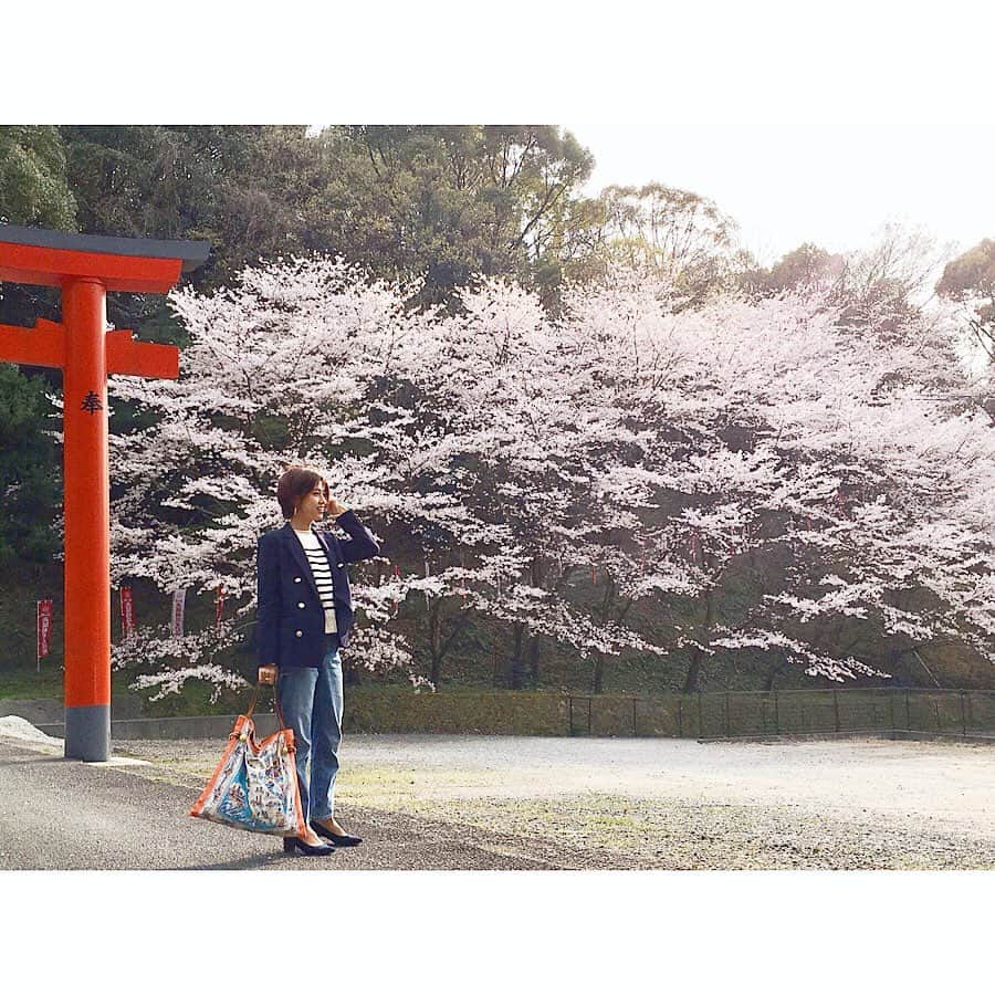 ryo0809appleさんのインスタグラム写真 - (ryo0809appleInstagram)「#coordinate * * * この間行った竈門神社の桜🌸 とてもキレイだったな☺️ 桜ももうすぐ終わり * * * #ジャケットコーデ #紺ブレ #guデニム #神デニム #ジユジョ #gu_for_all  #ザラジョ #ボーダーニット  #プチプラコーデ #プチプラファッション  #kaumo_fashion #locari #ponte_fashion #mamagirl #mineby3mootd #ママスタ春コーデ  #ママコーデ #アラフォーママ #アラフォーコーデ #ママカジュアル #大人カジュアル #大人女子コーデ #kalie公式アンバサダー #kalie」4月7日 15時02分 - ryo0809apple