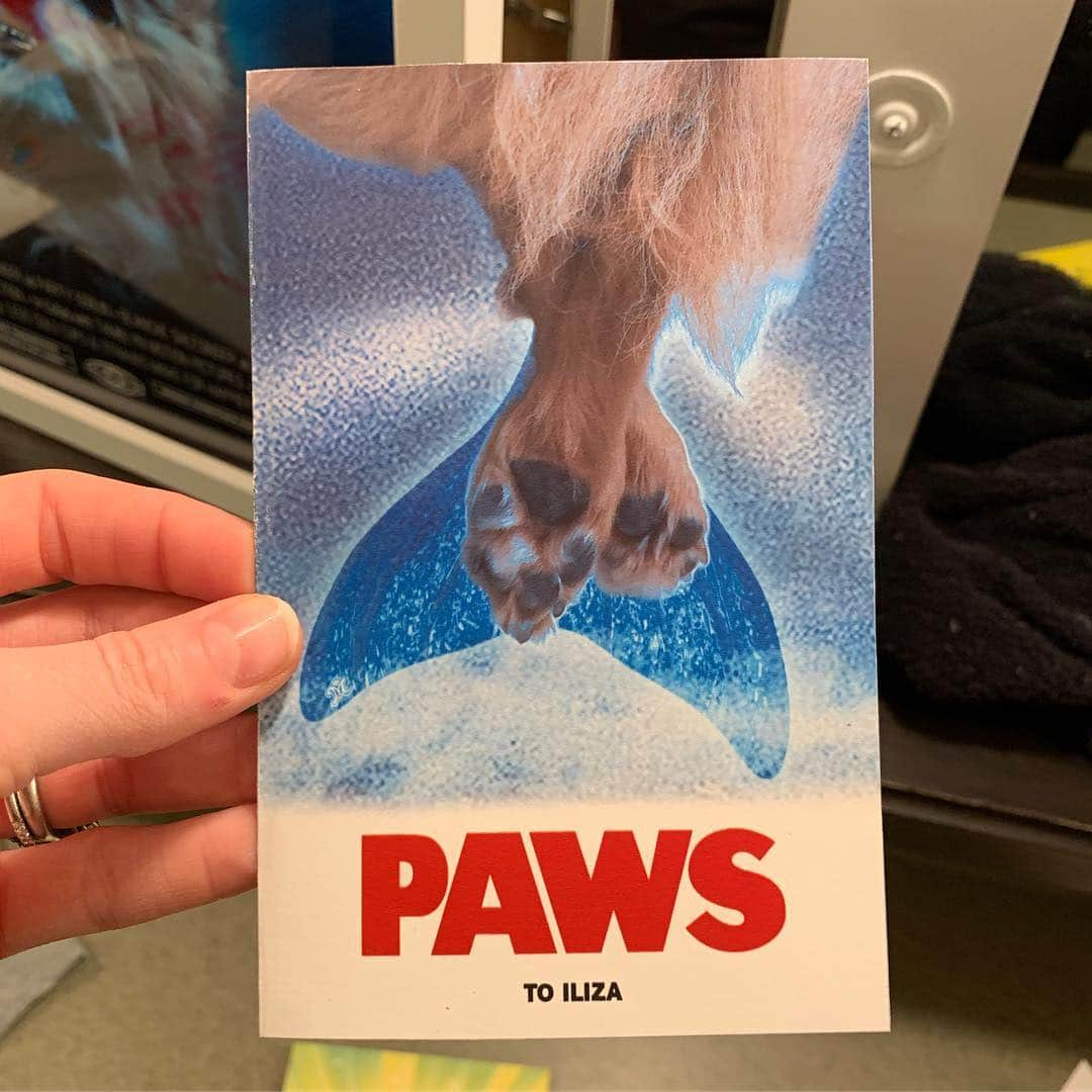 イリザ・シュレシンガーさんのインスタグラム写真 - (イリザ・シュレシンガーInstagram)「NOW IS THE TIME TO ZOOM IN! Wow @samaracwright - this PAWS poster is so detailed, so well done and so so funny. You are an incredibly talented graphic artist! SWIM FOR HER MERCY! A SEA LAMB!🤣 This poster is immediately going up in our home, thank you for this.」4月7日 15時10分 - ilizas