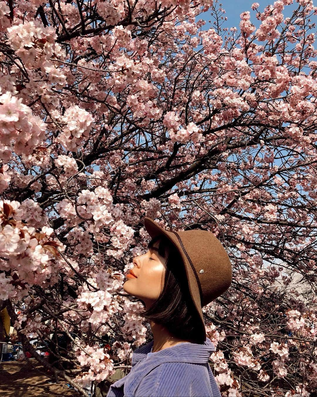 大屋夏南さんのインスタグラム写真 - (大屋夏南Instagram)「Sakura season 🌸 新宿御苑の桜すっごく綺麗だった🥺ちなみに太陽でめっちゃ光ったハイライトは @beccacosmetics だよ😂 ・ ・ #cherryblossom #sakura #tokyo #桜」4月7日 20時43分 - __kana_oya__