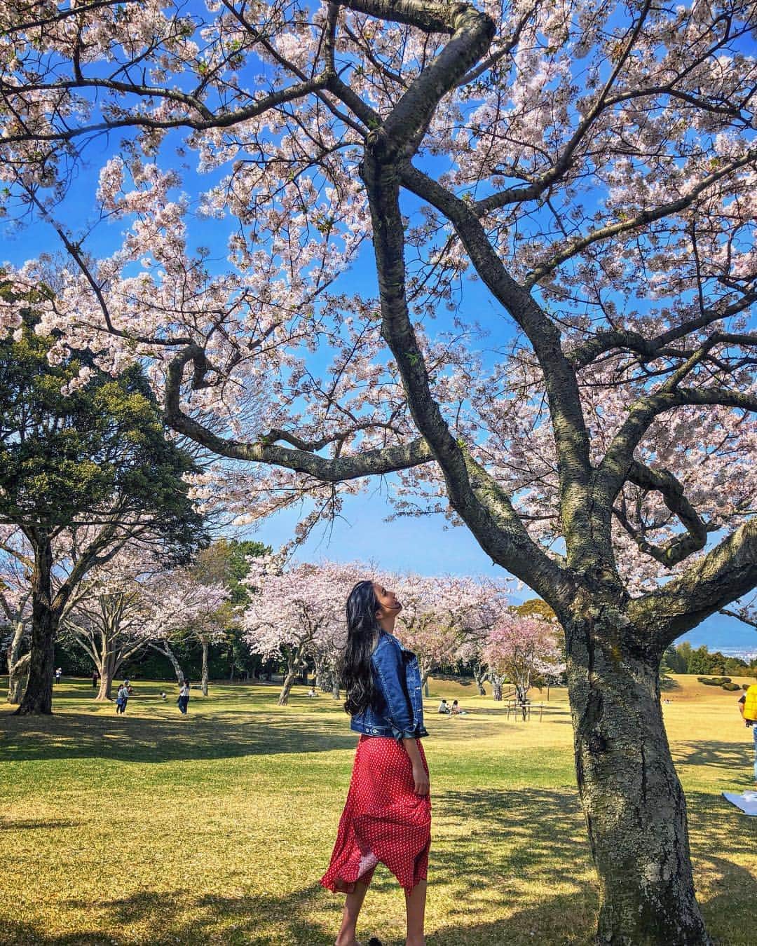 吉田愛璃のインスタグラム：「. . 🌸🌸🌸 . . #日本平 #日本平ホテル」