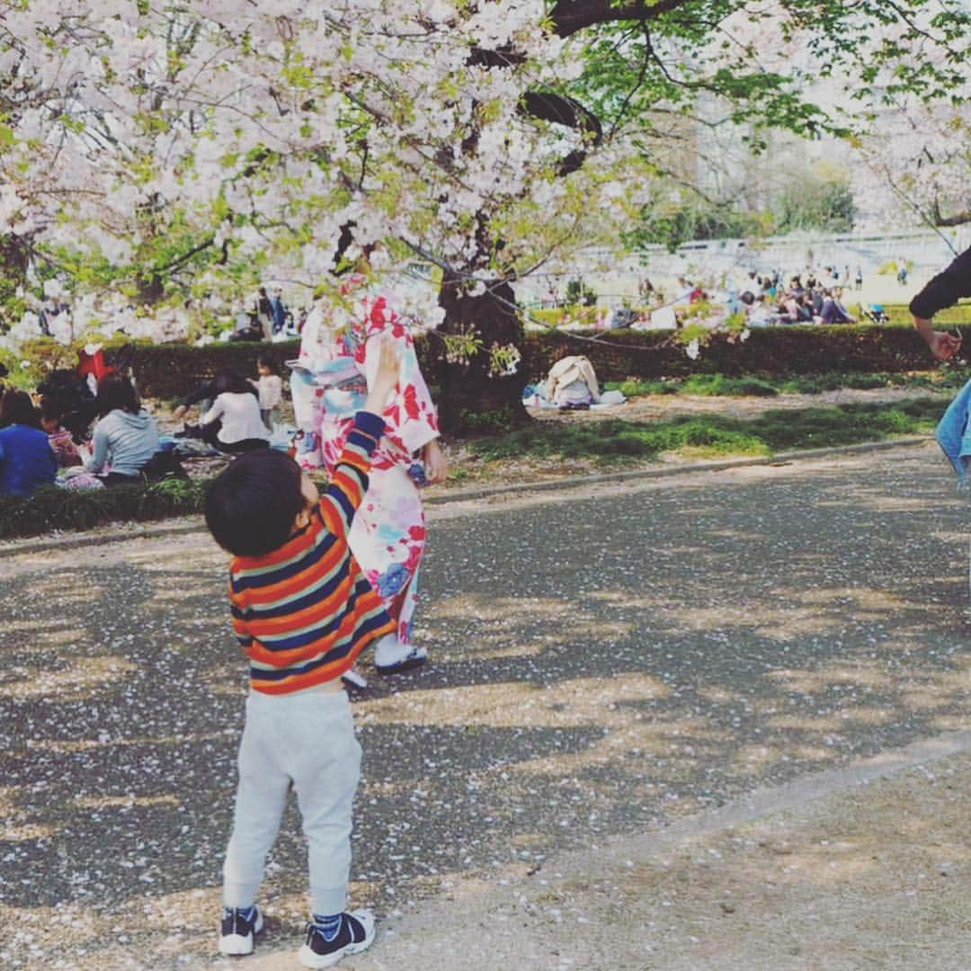 亀恭子さんのインスタグラム写真 - (亀恭子Instagram)「お花見 ＠新宿御苑 . . . 快晴、満開。 . . 美しいですね〜 日本、love❤︎ . . . からの、水族館。 平和な日曜日。 . . #cherryblossom #spring #japan #love #❤︎」4月7日 20時38分 - kame_kyo