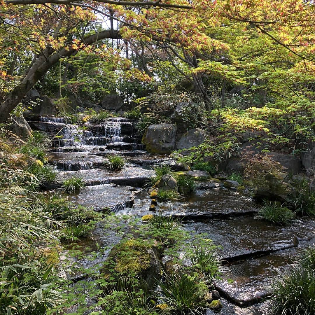 凰津りささんのインスタグラム写真 - (凰津りさInstagram)「姫路城🏯デート② . . 姫路城西御屋敷跡庭園 好古園 も行って参りました🇯🇵 . . なんともまぁ✨ 素晴らしい日本庭園でございました。 まだ新緑の季節には早いので生い茂るほどの緑は無かったけど、 手入れが行き届いた日本庭園を見ているだけで癒されました🍃 あぁ、日本人で良かったなぁ(˘⌣˘) . . 双樹庵 というお茶室で茶の庭を眺めながらお茶とお菓子を頂き、時間が経つのなんて忘れてほっこり😌💕 . 好古園は姫路城と比べて混雑もなく自分のペースで散策できた💦 . 4枚目の写真はお気に入りで、パソコンのスクリーンに設定しちゃったぜぃ❣️ . . 季節毎に違った姿を見せてくれるんだろうなぁ~ また来たいね~♡ . と、関西にいらっしゃる方にはオススメです💓 . . #好古園 #日本庭園 #茶室 #お抹茶 #お茶菓子 #高校生が提供してくれた #恥ずかしそうに ムヒムヒしながらお茶を運んでくれてたww #こっちまで照れたよ #姫路城 #西御屋敷跡庭園」4月7日 20時39分 - outsu.risa95