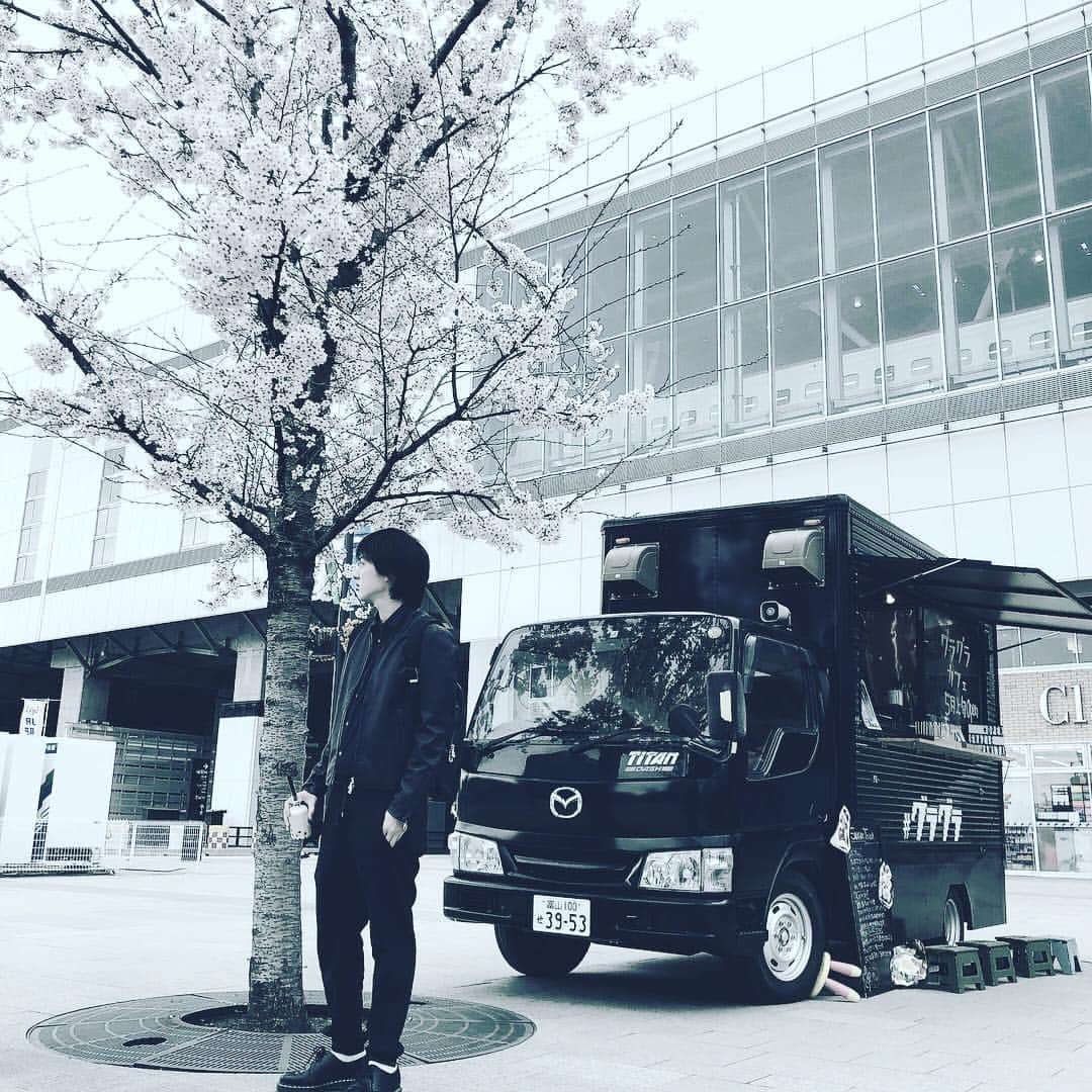 のインスタグラム：「#旅行 #富山 #タピオカ #桜 #trip #cherryblossom」
