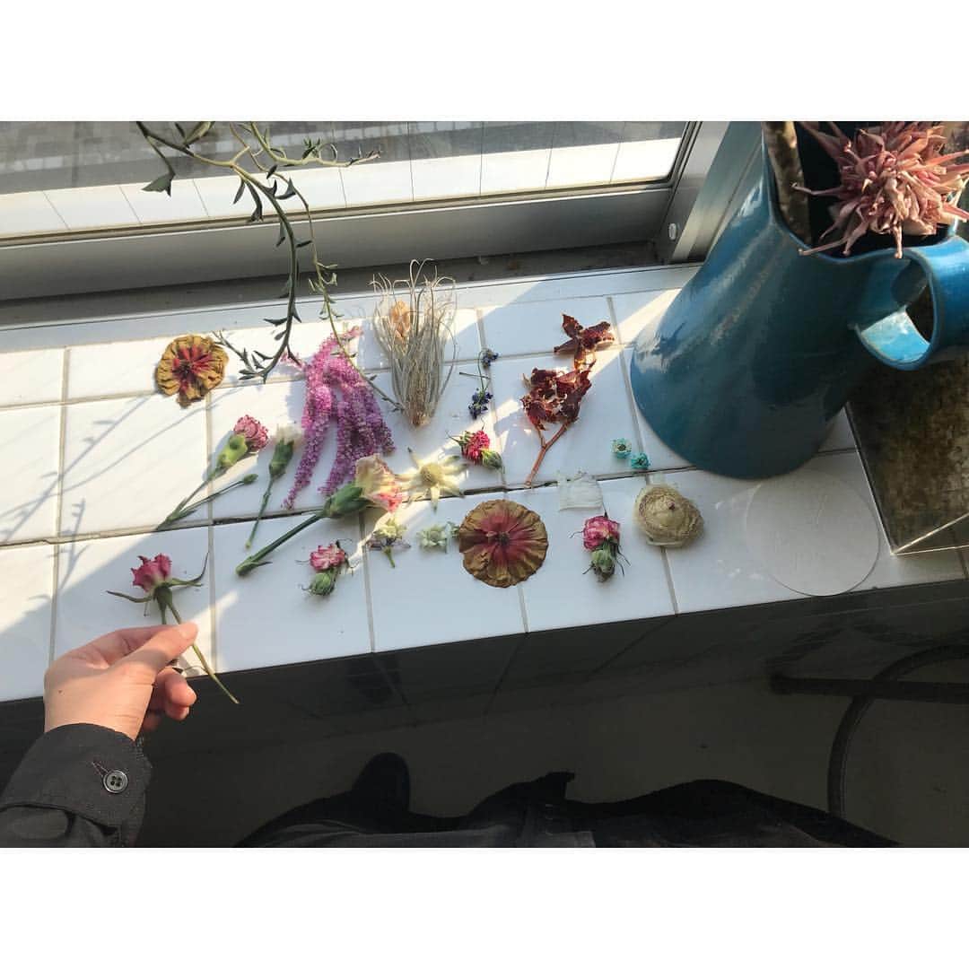 杉咲花さんのインスタグラム写真 - (杉咲花Instagram)「ここに来ると心が浄化される。 神聖な香りと、この空間に宿っている優しい気持ちと。全部まとめて吸い込む空気がおいしいわけさ、🌹」4月7日 15時17分 - hanasugisaki
