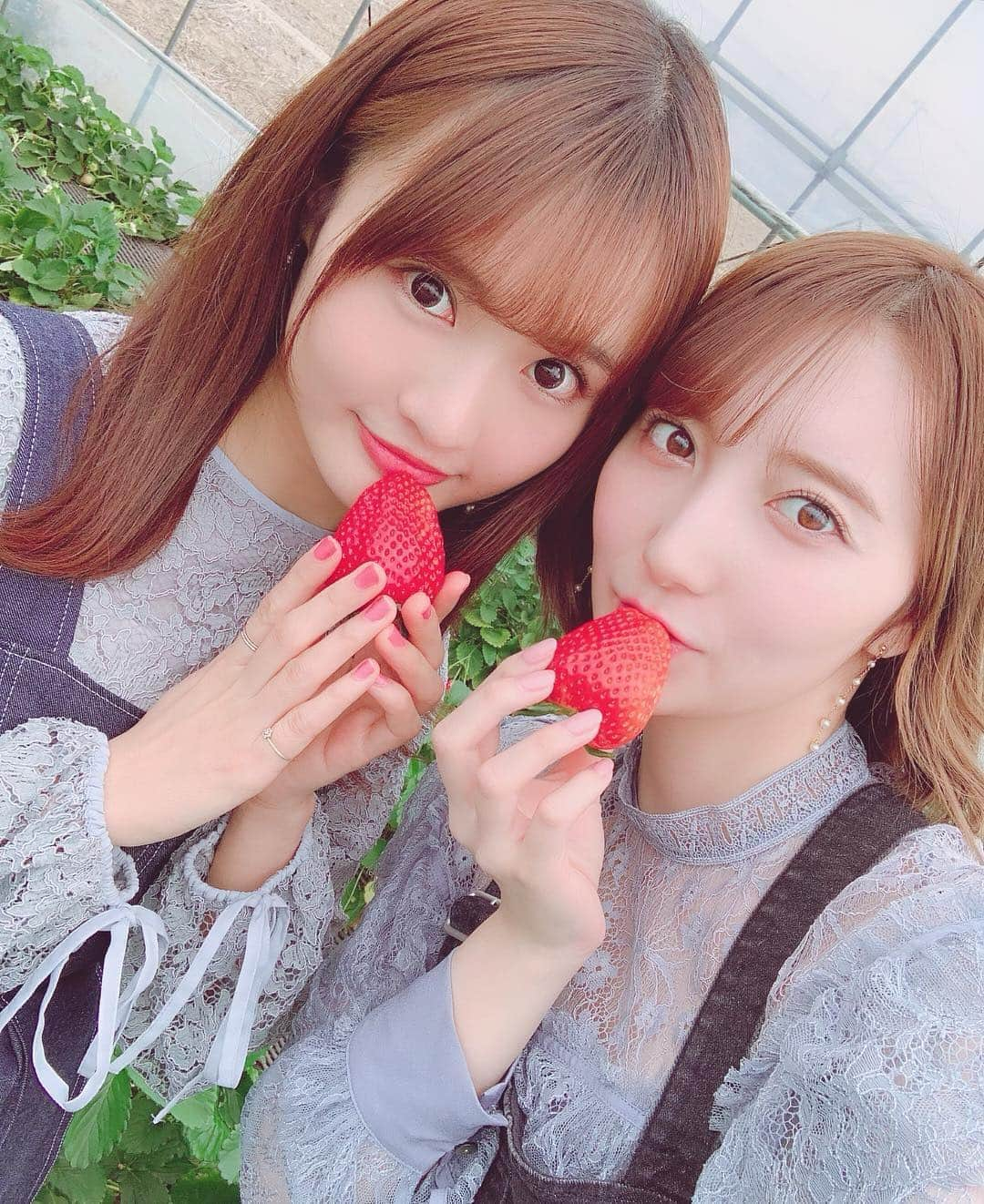 中村奏絵さんのインスタグラム写真 - (中村奏絵Instagram)「みづかにツアー🍓打ち合わせなしでお洋服が一緒でびっくり😳💓 #スカイベリー #栃木 #いちごの里 #いちご #いちご狩り #リンクコーデ #みづかに」4月7日 15時19分 - kanikanikanii