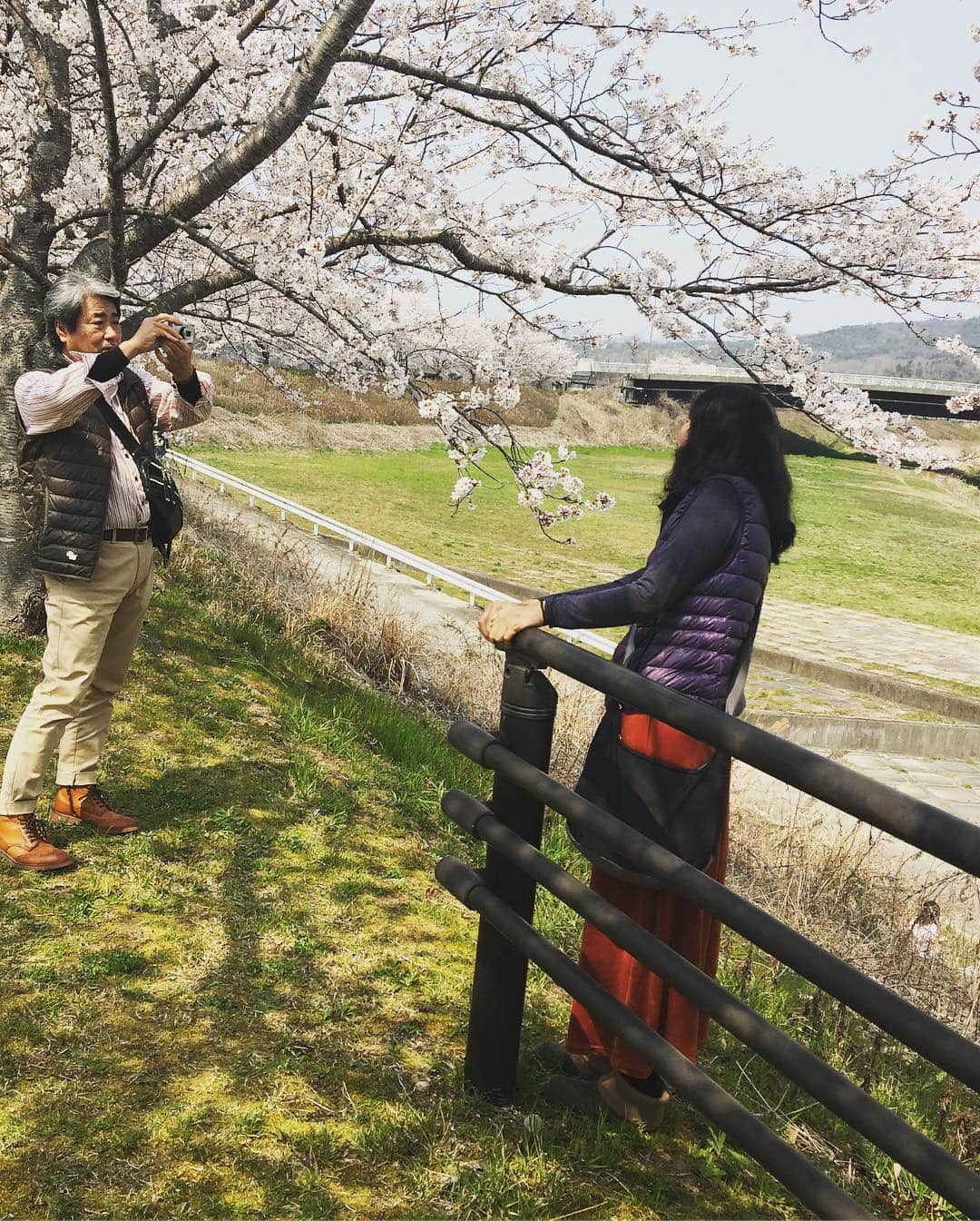 erikaさんのインスタグラム写真 - (erikaInstagram)「今日もお花見🌸  パパとママのデートの邪魔をしております😅😅😅 こんなパパママみたいにいつまでも仲良しな夫婦は憧れです❤️ 桜って不思議。 一つだけだと白なのに、たくさん集まったらピンクに見えるんよね。  今日は兵庫県の三田まで行ってきた。 すごーく長い桜道が続いてて、パパがママに見せてあげたかったんだってー🤪  #仲良し #お花見 #両親の邪魔をする娘」4月7日 15時25分 - ch1na.er1ka