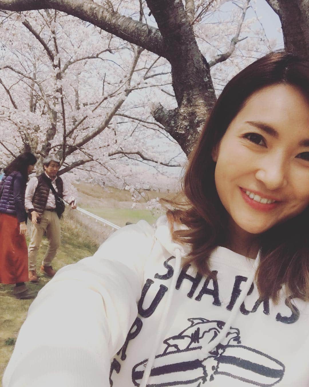 のインスタグラム：「今日もお花見🌸  パパとママのデートの邪魔をしております😅😅😅 こんなパパママみたいにいつまでも仲良しな夫婦は憧れです❤️ 桜って不思議。 一つだけだと白なのに、たくさん集まったらピンクに見えるんよね。  今日は兵庫県の三田まで行ってきた。 すごーく長い桜道が続いてて、パパがママに見せてあげたかったんだってー🤪  #仲良し #お花見 #両親の邪魔をする娘」