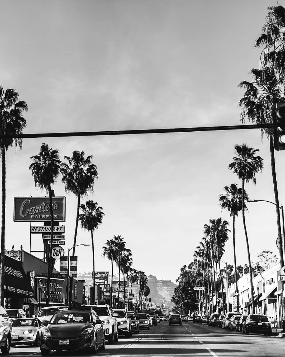 ジャクリーン・ミクタさんのインスタグラム写真 - (ジャクリーン・ミクタInstagram)「Back in the sun and the heat ☀️ Time for another round of LA, Palm Springs and Coachella 🌴 #mikutatravels」4月7日 15時33分 - mikutas