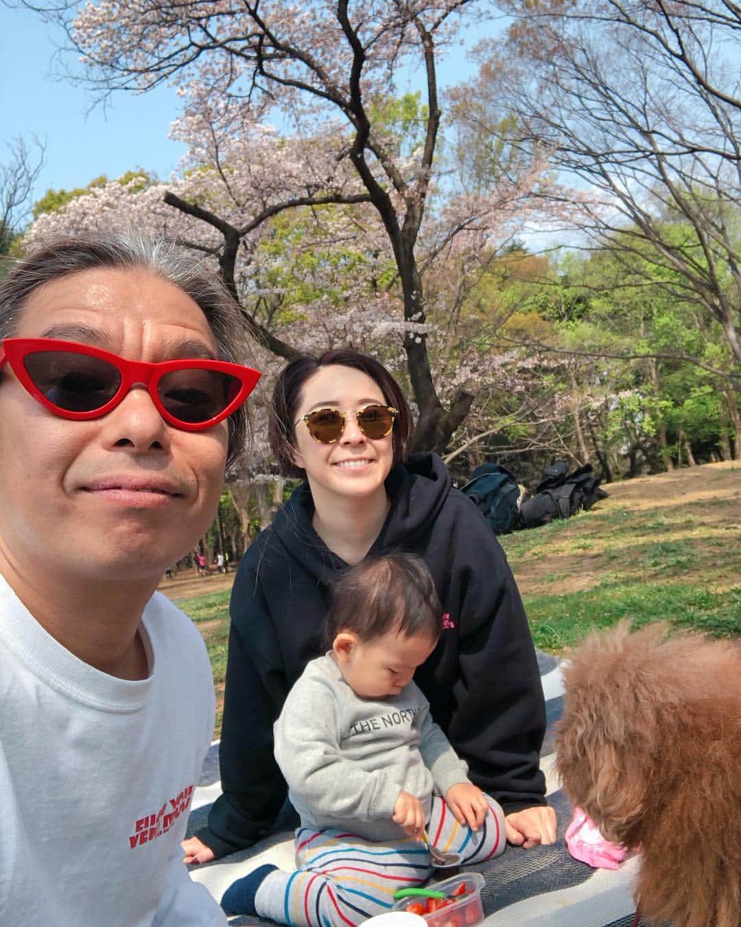 Yukari Imaiのインスタグラム：「今日はパパが仕事になってしまったので、早朝花見へ代々木公園🌸 まだ綺麗だった💖🌸」
