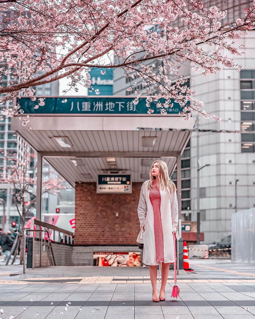 Stella Leeさんのインスタグラム写真 - (Stella LeeInstagram)「The last weekend to see sakura in full bloom in Tokyo. In case you miss it, you can see sakura in northern part of Tokyo such as Tohoku and Hokkaido. Sakura is all over Japan and blooms at different times. For the sakura prediction, you can google the sakura 2019 forecast or install sakura forecast app」4月7日 16時04分 - stellalee92