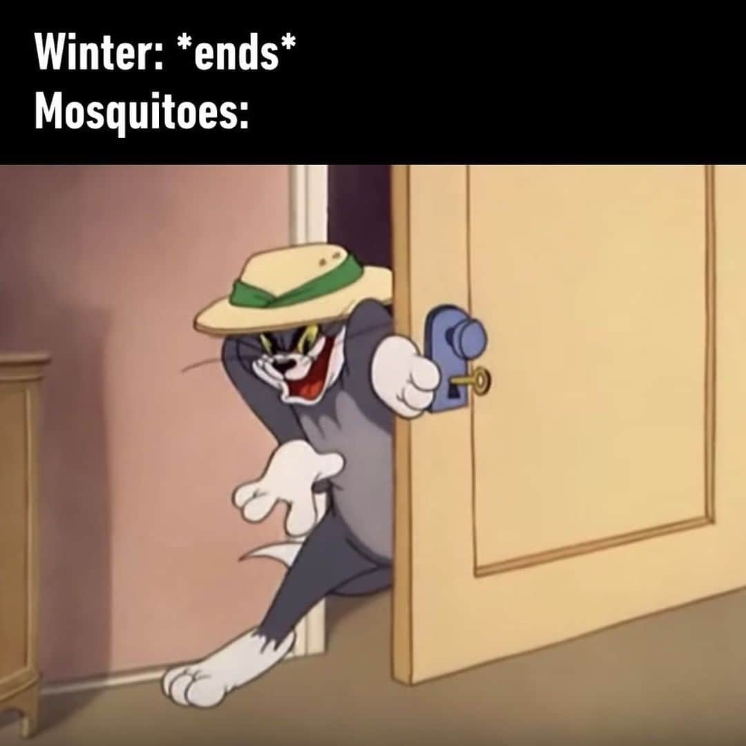 9GAGさんのインスタグラム写真 - (9GAGInstagram)「Everywhere is free estate⠀ #winter #spring #mosquitoes #9gag」4月7日 16時00分 - 9gag