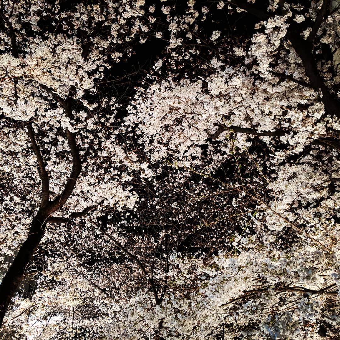 City of Kyoto Official Accountのグルメインスタ