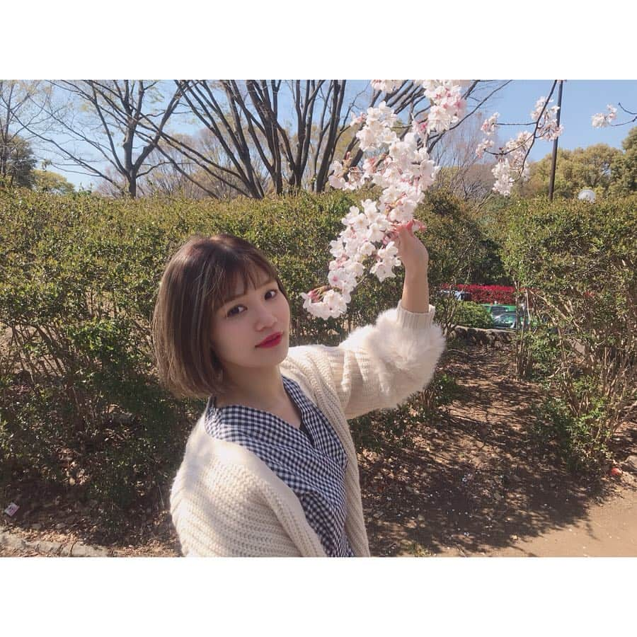 桜井りおなのインスタグラム：「🌸🌸 ㅤㅤㅤㅤ ㅤㅤㅤㅤ ㅤㅤㅤㅤ #桜 #spring #お花見したい #よよこう #🌸 #桜井りおな」