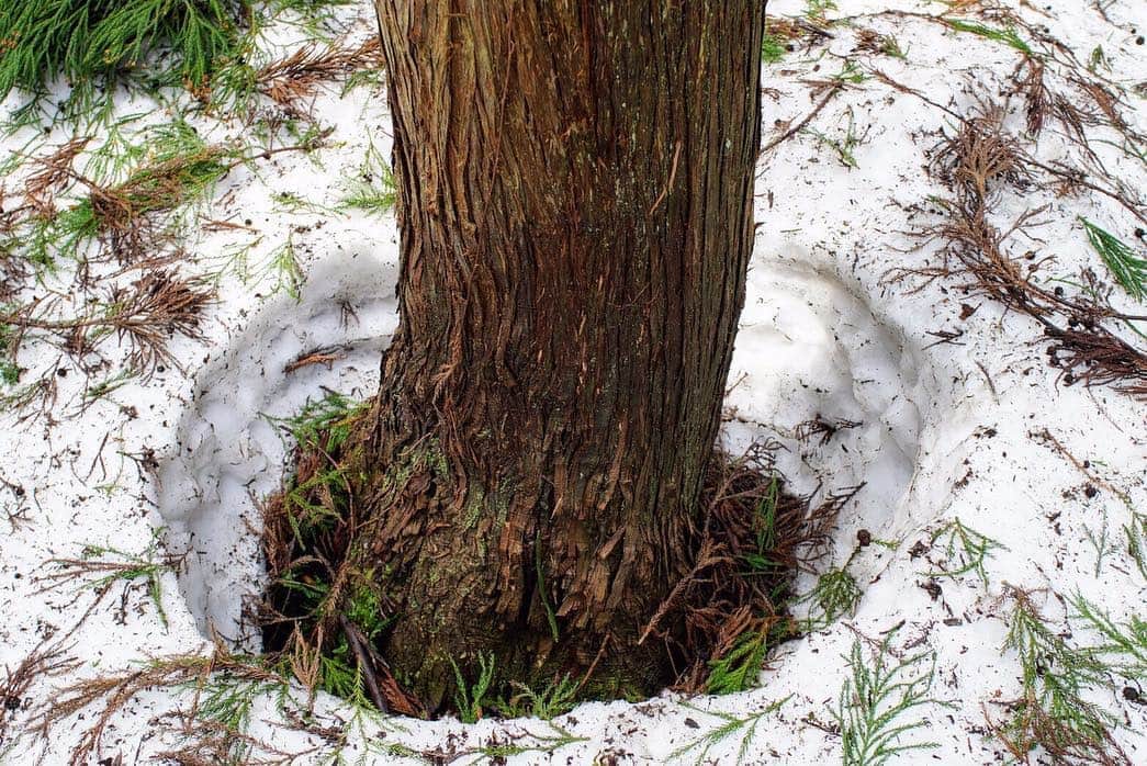 山人のグルメインスタ