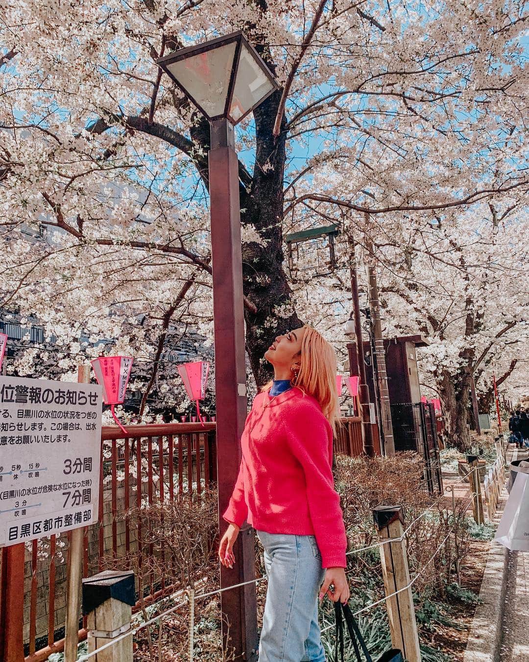 植野有砂さんのインスタグラム写真 - (植野有砂Instagram)「Sakura 2019🌸🌸🌸🌸🌸先週仕事の合間に桜と写真💗目黒川は毎日通るから毎日桜が見られて幸せ😌🌸 #sakura #cherryblossom #🌸」4月7日 16時21分 - alisaueno