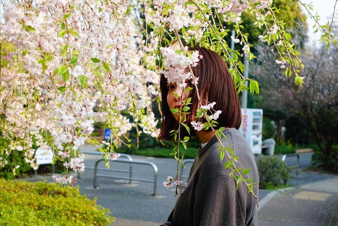 菅原沙樹さんのインスタグラム写真 - (菅原沙樹Instagram)「🌸」4月7日 16時56分 - saki313apo