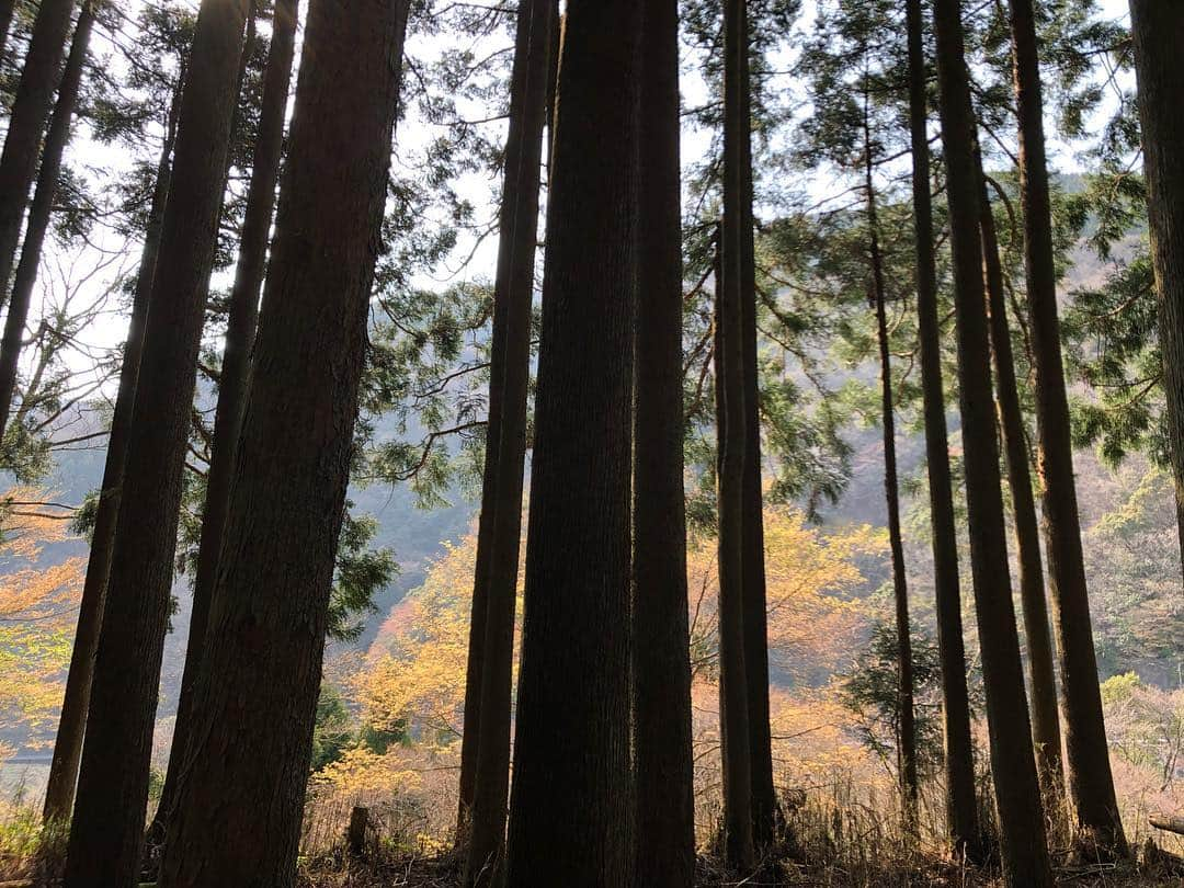 斎藤洸のインスタグラム