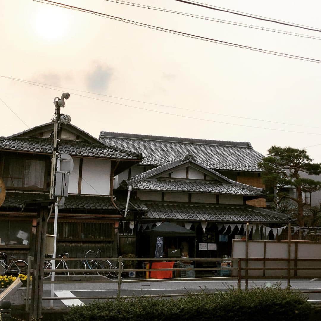 山川のりをのインスタグラム：「今夜は滋賀県長浜市の長浜の縄にてギターパンダ  ライブです。18時くらいから、2000円です。共演は平山ケンタ。お近くの方々会いにきてアイニージュー！」