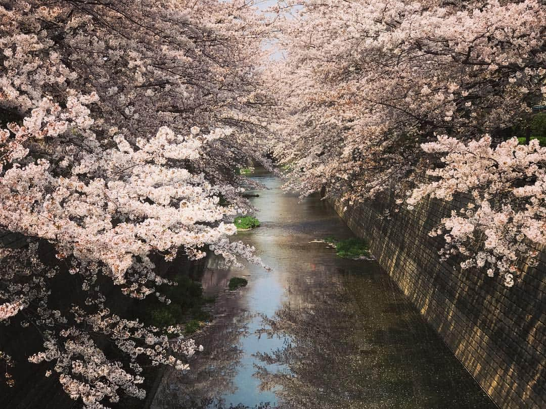 氷浦紫のインスタグラム