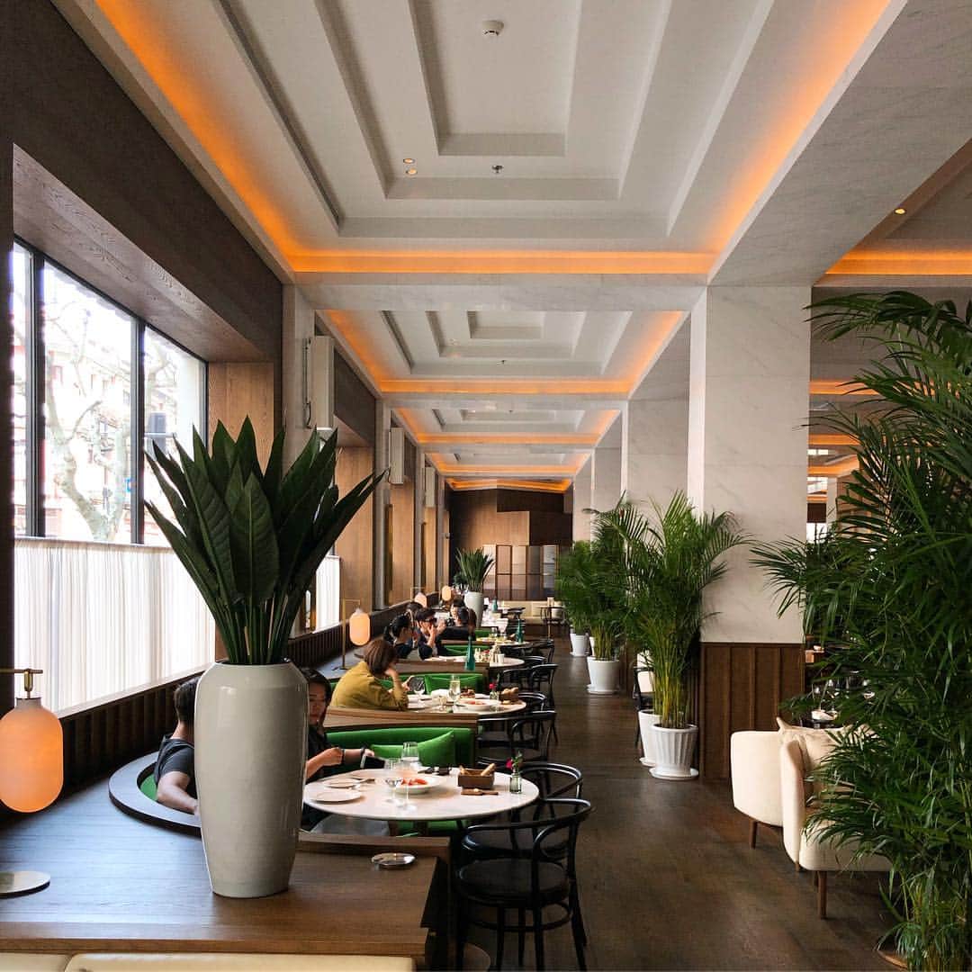 Symmetry Breakfastさんのインスタグラム写真 - (Symmetry BreakfastInstagram)「Sunday: Brunch at the fabulous @shanghaitavrn to celebrate the birthday of my friend @raretealady a feast of Baked Clams Rockefeller, mezcal cocktails and delicious @rareteacompany oolong - - - - - - - - - - - - - - - - - - We then went up to the Punch Room bar and shot an almost hour long programme about tea, it’s all on my IGTV and talks you through, white, green, oolong, black, pu’er, herbal infusions, storage and infusing with alcohol! Please ask as many questions as you like too! I hope you enjoy!! #symmetrybreakfast #shanghaiedition #teatutorial」4月7日 17時13分 - symmetrybreakfast