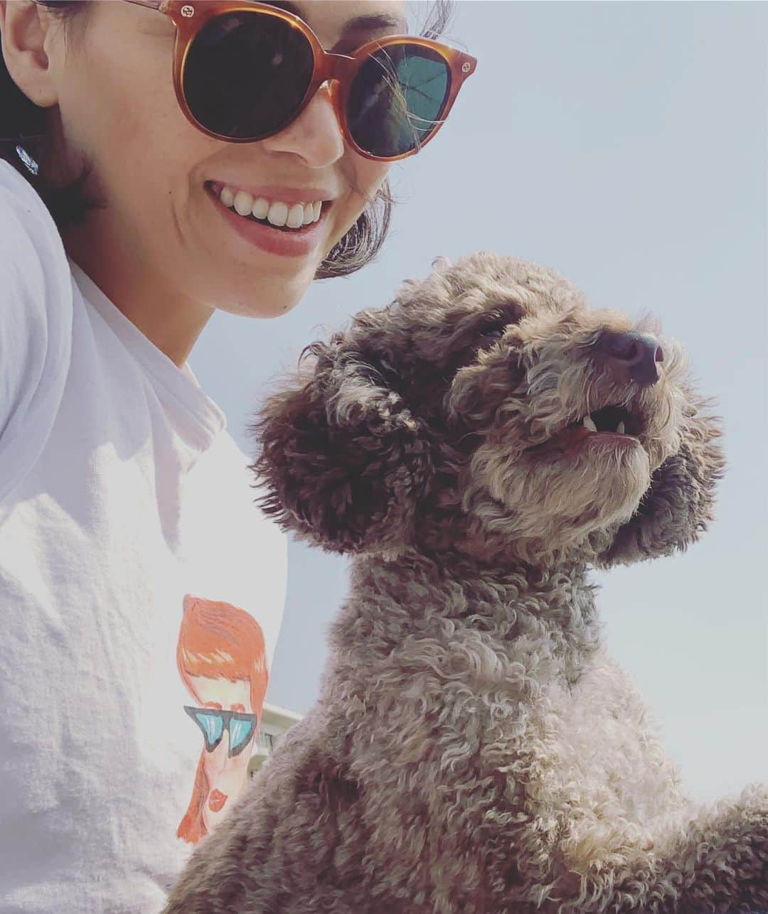 藤井アルダさんのインスタグラム写真 - (藤井アルダInstagram)「Sunday with my ❤️❤️s!!! #mypoobear #love #instadog #toypoodle #lilly413 #sunday #funday #my2love #bani #lilly #princess」4月7日 17時21分 - akemi_rafaela