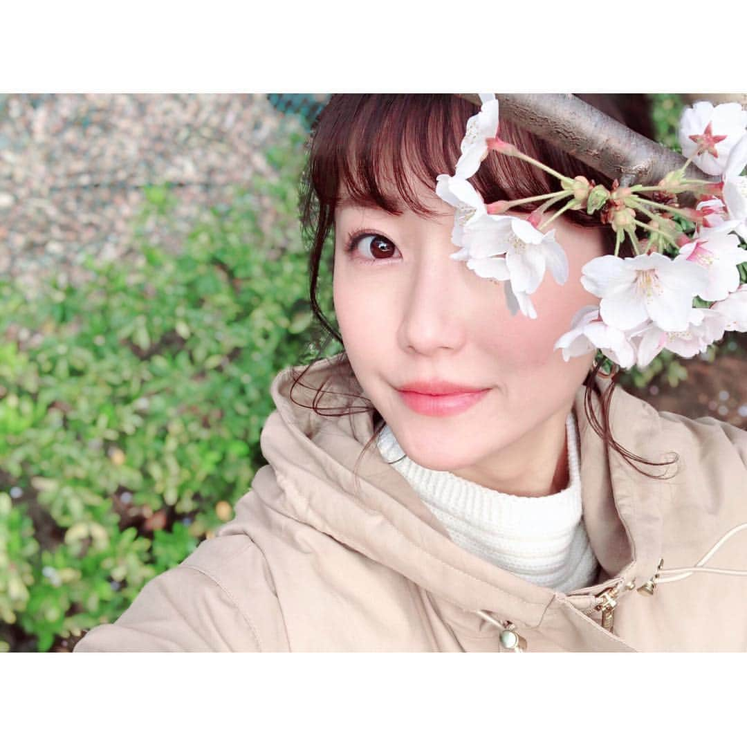 津田麻莉奈さんのインスタグラム写真 - (津田麻莉奈Instagram)「🌸桜花賞デーの今日は…🌸 中山競馬場でビギナーズセミナーの講師と、 競馬教室でのお仕事でした✨ ご参加下さった皆さま、ありがとうございました😊🙌 ⁑ 桜花賞は◎シゲルピンクダイヤで、 馬券の買い方迷いましたが単勝と枠連で。 2着は悔しいけど…神騎乗！かっこよかった😍🌸 枠連当たって、1万円弱の払い戻しになりました✨ ⁑ #桜花賞 #シゲルピンクダイヤ  #本馬場入場 #あなたに桃色片思い #16番シゲルピンクダイヤ #盛大に吹きました #さすがっす @ayumu.kozuka  #中山競馬場 #ビギナーズセミナー #競馬 #競馬好き #umajo  #桜 #sakura #ohanami #まりなる #津田麻莉奈」4月7日 17時32分 - tsudamarinal