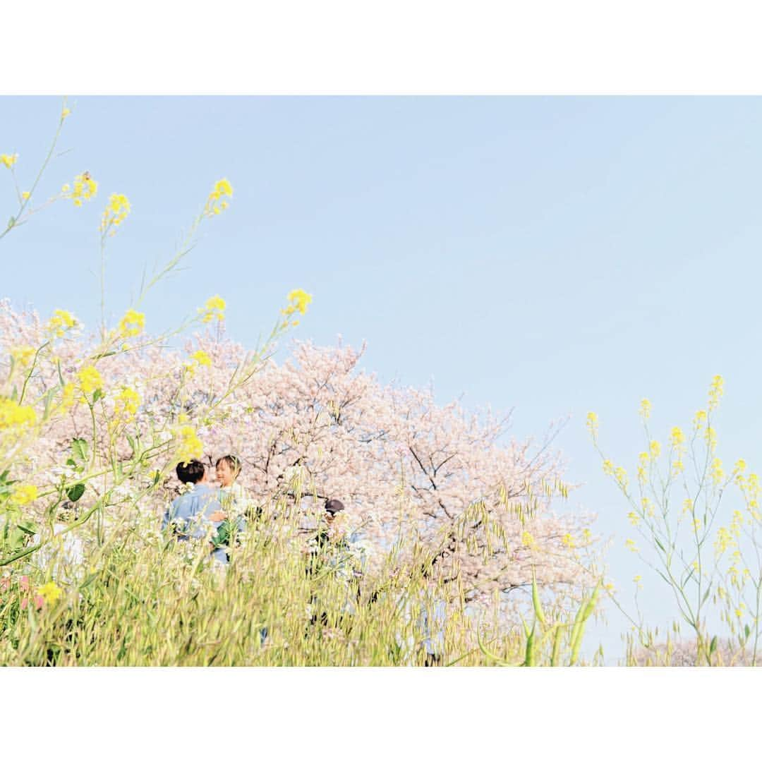 高山都さんのインスタグラム写真 - (高山都Instagram)「ぽっかり空いたひとりの日曜日。 なんにもないなーってボヤくよりも、何か見つけようとする姿勢でいたい。 せっかくだから…と走る距離をのばして、二子玉川の河川敷まで行った。 思わず声が出るほどの、春の景色。 賑わう公園よりものどかで、なんだか得した気分になった。 行動してみてよかった。 18km走って、良い疲労感。 春の東京は、どこかちょっと切ないけど、スピッツがよく似合う。 #ワタシが走る理由」4月7日 17時29分 - miyare38