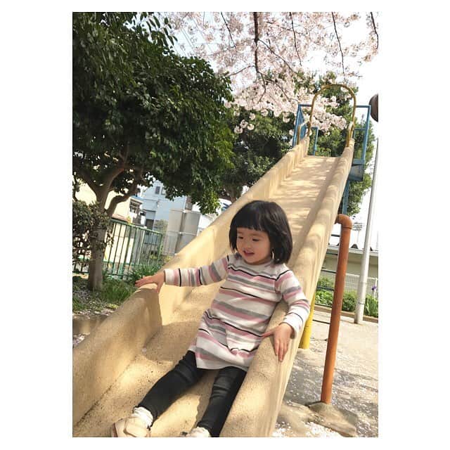 日高薫さんのインスタグラム写真 - (日高薫Instagram)「娘ちゃんと公園で💗😊🌸 桜の花びらが散る姿が今日は特に綺麗に感じました🌸☺️ #sakura #桜 #🌸 #娘ちゃん #2歳 #女の子ママ #滑り台 #ブランコ #一緒に乗らないとイヤイヤ#な時期」4月7日 17時41分 - hidaka_kaoru_official