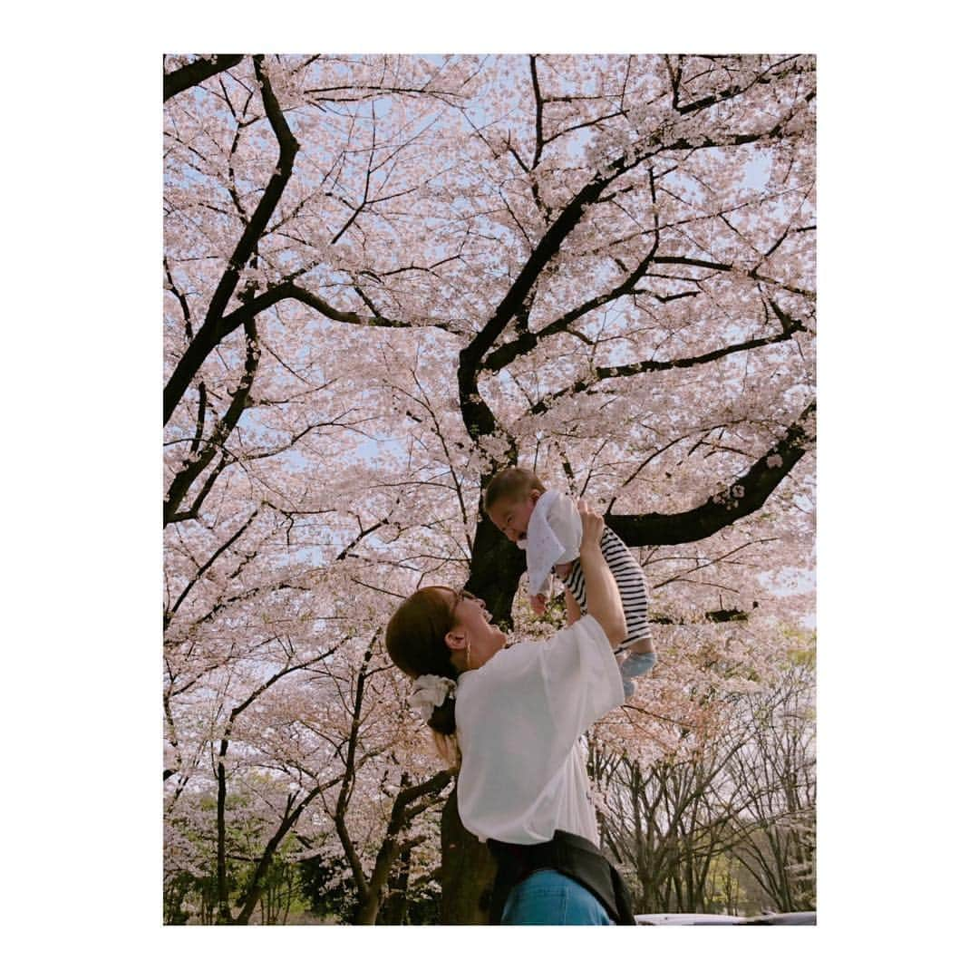 辻希美さんのインスタグラム写真 - (辻希美Instagram)「👶🌸👶🌸👶🌸" #お花見 #🌸 #幸空しゃん起きた #初桜 #希空カメラ #私と幸空」4月7日 17時41分 - tsujinozomi_official