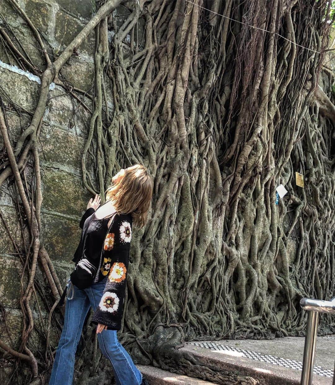 のインスタグラム：「🌳🇭🇰🌳 #ChocomooLoves🌳🌵🌿🌼」
