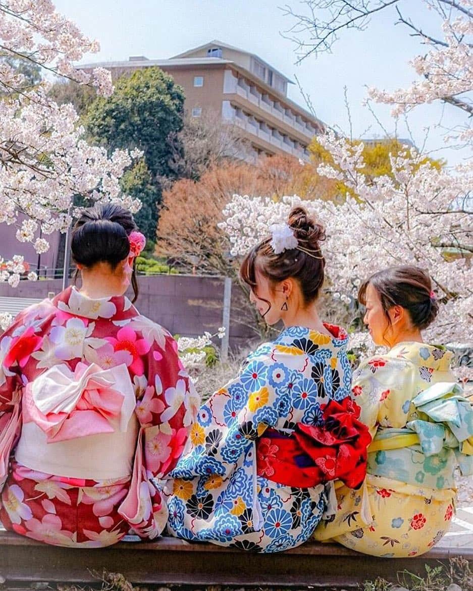 THE WESTIN KYOTO ウェスティン都ホテル京都のインスタグラム：「花盛り。良いお天気で、街歩きも楽しくなってきました！京都は満開です。  Photo by 📸 @lotus.m.lotus  Tag @westinmiyakokyoto or #westinmiyakokyoto to share your images with us!  #ウェスティン都ホテル京都  #westinmiyakokyoto #京都ホテル #westin #ウェスティン  #京都旅行 #京都旅 #京都巡り #京都観光 #京都好き #そうだ京都行こう #京都散策 #京都好きな人と繋がりたい  #京都ホテル #京都グルメ #京都カフェ #京都スイーツ #kyototravel #japantravel #japantravelphoto」