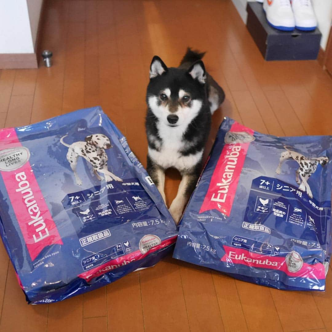 くろさんのインスタグラム写真 - (くろInstagram)「宅配BOXに届いておりました📦 コスパがいいので7.5Kgをオーダー🐾 #ユーカヌバシニア用 #ユーカヌバ #kuroshiba #blackshiba #shibainu #shibastagram #instadog #dogstagram #柴犬 #黒柴 #黑柴 #日本犬 #和犬 #シニア犬 #癒し犬 #いぬら部 #ふわもこ部 #柴犬部 #モフモフ生命体 #柴犬のいる暮らし #柴犬のいる生活 #柴犬と一緒 #わんこのいる暮らし #わんこのいる生活 #わんこと一緒 #わんダフォ #わんだふるjapan」4月7日 17時48分 - m6bmw