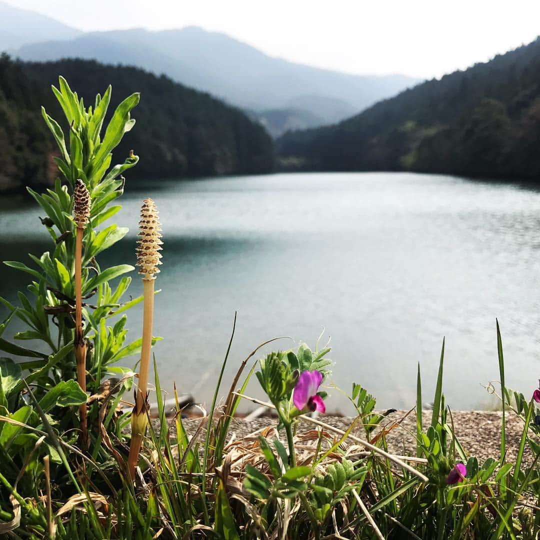のインスタグラム：「桃源郷のような場所でした…。⛰」