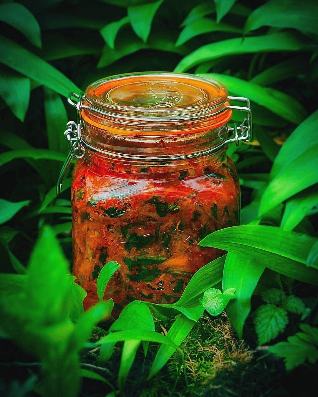 ジェイミー・オリヴァーさんのインスタグラム写真 - (ジェイミー・オリヴァーInstagram)「Brilliant Wild Garlic Kimchi a great Repost from @yorkshiregourmet - Wild Garlic Kimchi. Tastes good even before fermentation and a great way of prolonging the flavour of these wild spring leaves beyond the season. Dead simple to make; about 500g wild garlic leaves, stems and flower buds mixed with kimchi paste. I used Gochugaru (Korean chilli powder) with grated daikon, shredded leek, root ginger, fish sauce, sea salt and sugar. Packed into a jar, left at room temperature for 24 hours for the lacto-bacteria to do its work, then refrigerated for a week. I'm planning on serving this with something with a Korean vibe - Bulgogi-marinated short rib of beef, oak-smoked, slow-cooked until tender then caramelised over a griddle or wood fire. #wildgarlic #wildgarlickimchi #lactofermented #fermentation #foraging #kimchi」4月7日 17時55分 - jamieoliver