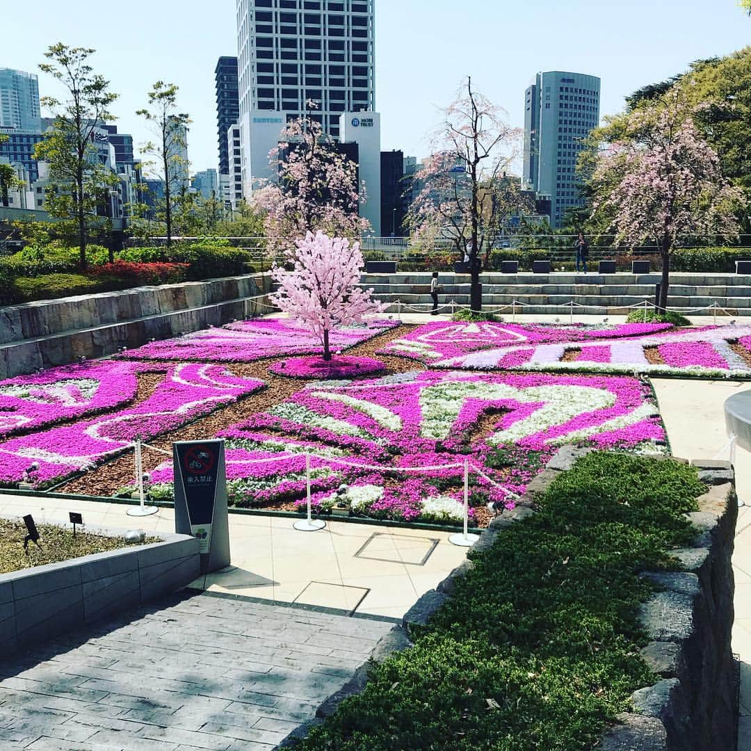 リョウマエダさんのインスタグラム写真 - (リョウマエダInstagram)「通りかかったオシャレ空間 撮った瞬間木の後ろから人出てきた(笑) #テラス #花満開 #春 #Spring」4月7日 17時56分 - itagram0807