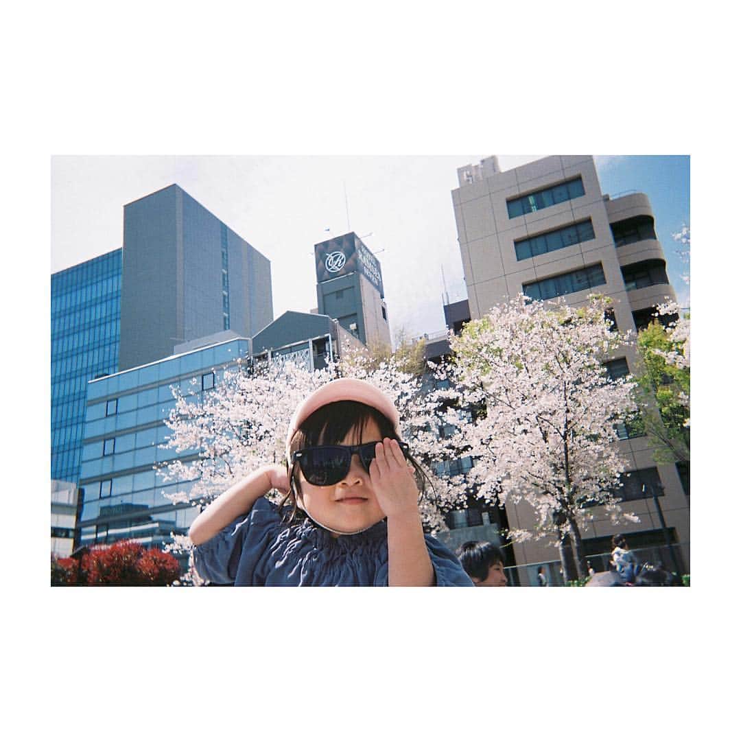 落合恭子のインスタグラム：「🌸 セレブ2歳カメラマンK🌷🌷 #filmphotography #sakura #桜 #sunny」