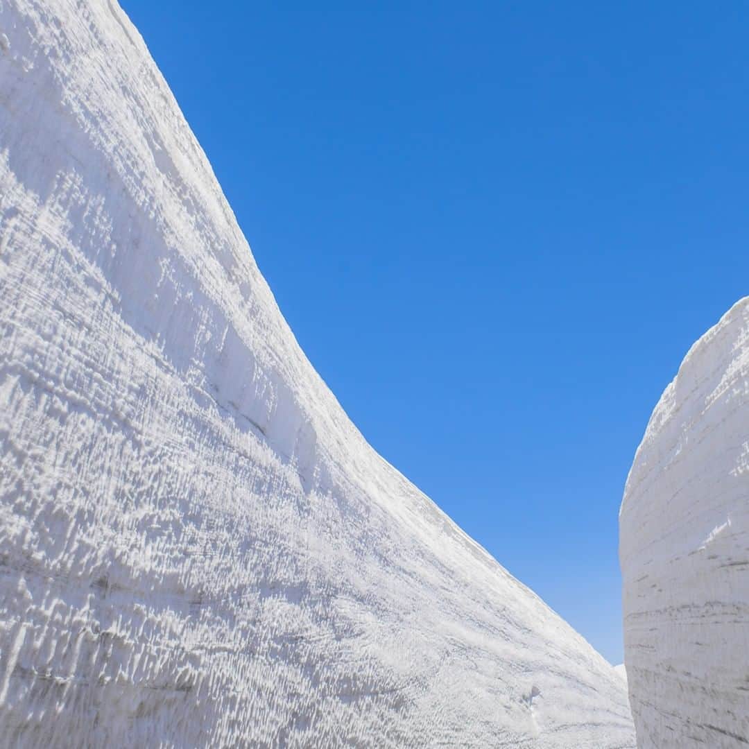 楽天トラベル さんのインスタグラム写真 - (楽天トラベル Instagram)「#立山黒部アルペンルート が全線開通を迎えると巨大な雪の壁 #雪の大谷 を楽しめる「立山黒部・雪の大谷フェスティバル」が開催されます✨雪の壁の中を歩くことができる#雪の大谷ウォーク や#雪の回廊ウォーク など様々なイベントが満載です！ 【#雪の大谷フェスティバル 】2019/4/15～6/22 . ***************** 📷フォトコンテスト開催中📷 もう一度行きたい旅先で撮影した写真に #楽天もう一度行きたい旅 をつけて投稿してね♪ 最優秀賞には3万円クーポンプレゼント😆 ***************** . #楽天トラベル #楽天  #rakutentravel #旅 #旅行 #旅に出よう #旅行好きな人と繋がりたい #travel #trip #日本 #japan #일본 #instagramjapan #IG_JAPAN #japantrip #立山黒部 #アルペンルート #立山 #tateyama #大谷 #snowwall #雪の壁 .」4月7日 18時00分 - rakutentravel