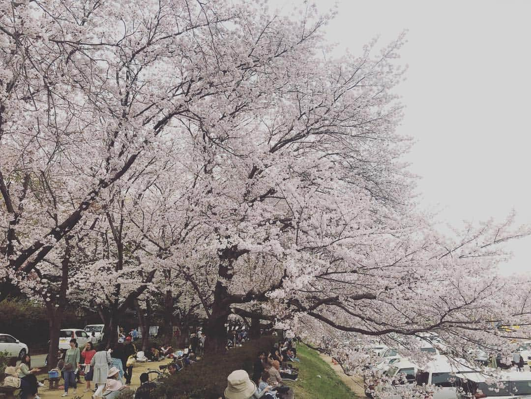 ティモシー・コレトさんのインスタグラム写真 - (ティモシー・コレトInstagram)「最初岡山お花見🌸最高だった 雪みたかった🌸🌷🎀💕💗💓💖💘💞💝 . #花見 #花見さとw」4月7日 18時03分 - timkoleto