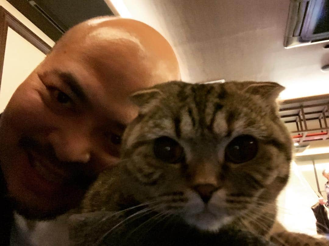 原田曜平さんのインスタグラム写真 - (原田曜平Instagram)「猫ちゃん🐱とハゲたおじさん だからどーした！！」4月7日 18時04分 - yohei.harada_official
