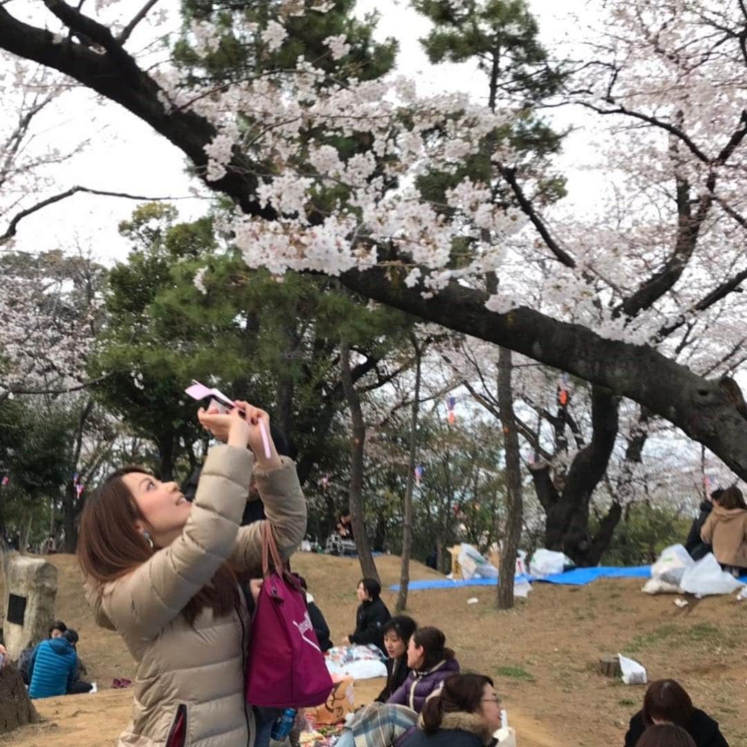 須黒清華のインスタグラム：「結局、足が痛すぎて今日は外に出られませんでした😂💦 仕方ないので、少し前のお花見写真を見返してます…🌸 今日も桜、綺麗だったんだろうなぁ。 満開を少し過ぎて、散りゆく桜が、儚くて好き…💕 #桜 #cherryblossom #お花見」