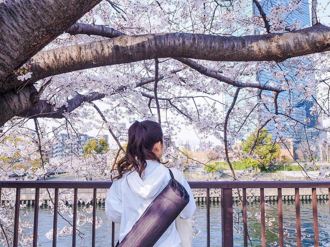 naho_7のインスタグラム：「. 美しすぎて儚くて見てるだけで涙が出そうになるよ。 最近なんだかいろいろ不調な気がするけど 気がするだけだと言い聞かせて、1個ずつ解決してこ。 この週末はほんとに桜に癒されたなあ😢🌸」