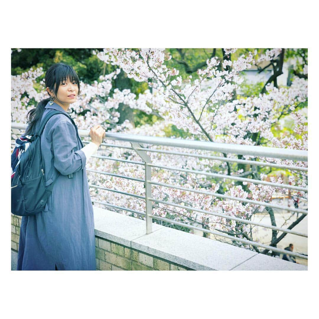 三倉佳奈さんのインスタグラム写真 - (三倉佳奈Instagram)「茉奈と桜🌸  #cherryblossom  #mysister  #spring #もう桜も終わりですね #寂しけど今年は沢山楽しめた気がする☺︎」4月7日 18時34分 - kana_mikura0223