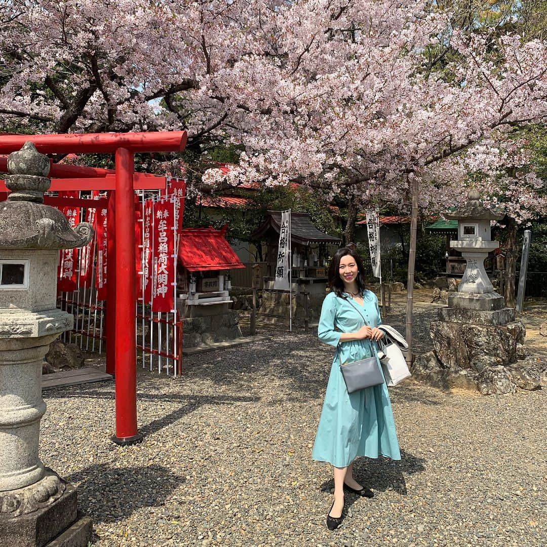 服部水季さんのインスタグラム写真 - (服部水季Instagram)「夫と👨🏻 本日はお花見🌸がてら八幡さまへ⛩ 今日は上着がなくても過ごせる陽気で汗ばむくらい。 紫外線対策を本格的にしなきゃ〜っと思いつつ日焼け止めもせずに出掛けてしまった☀️ そのあと櫃まぶしを食べに。 先日姪の初節句でもうかがった「まるた生簀どころ」さん。 パリッと香ばしく美味しかった👅  コメダ珈琲に久々に行ってシロノワールをシェア👅  よき休日🌸🌸🌸 #桜#豊橋#櫃まぶし #シロノワール」4月7日 18時33分 - yoginimizuki