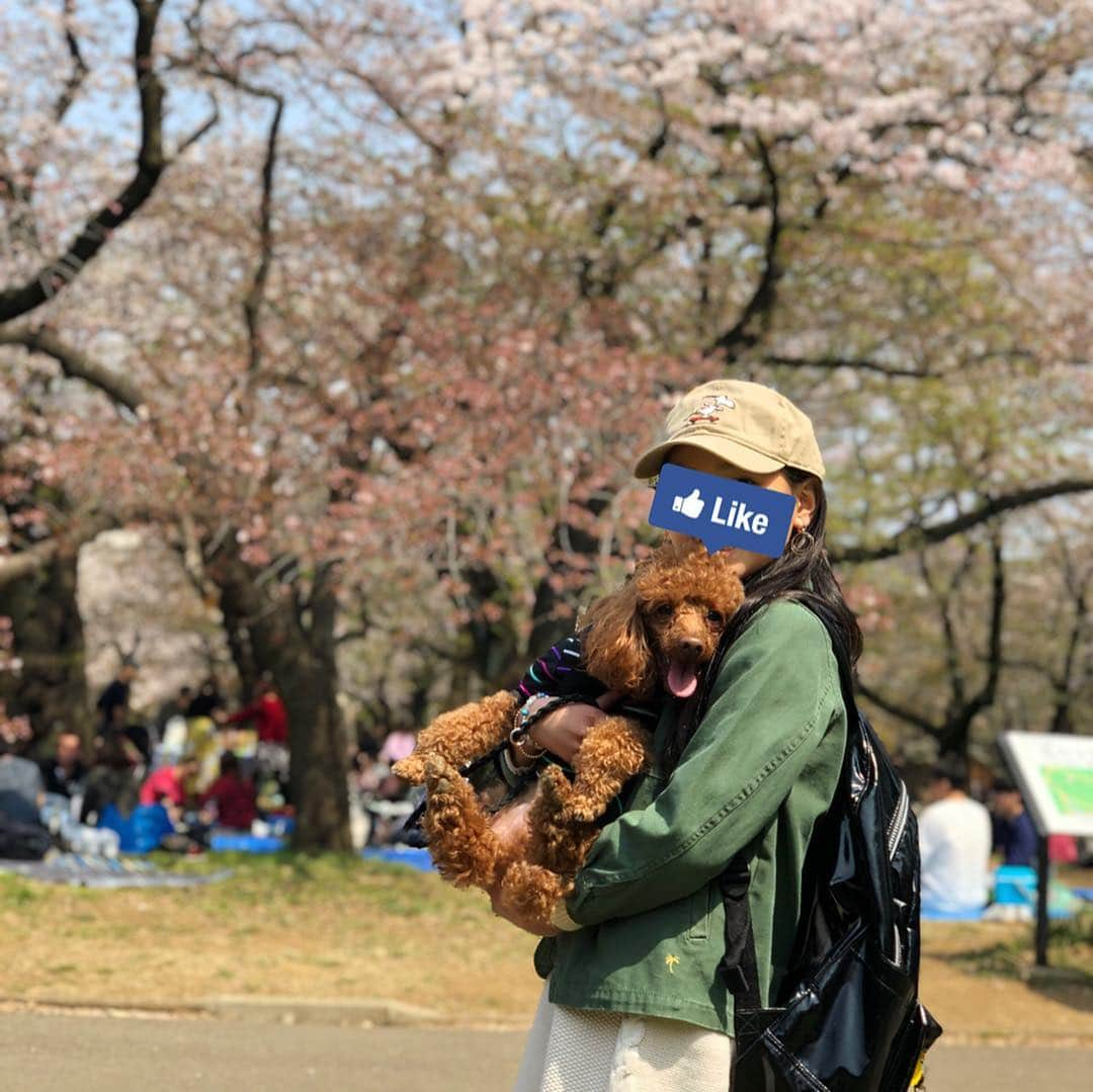 石田 祥子さんのインスタグラム写真 - (石田 祥子Instagram)「お花見コーデ🌸 . #毎年伝説が生まれる #花見 #これ歌いたかった曲じゃない . . ジャケット #thenorthface #ノースフェイス  スウェット #ciaopanictypy  デニム #grlfrnddenim #revolveme  スニーカー #maisonmargiela #mm6 . . . @naokosasaguchi  @himecyan  @eikooo7  @izumisudo . ライリーも参加しました🐶」4月7日 18時39分 - shoko_ishida