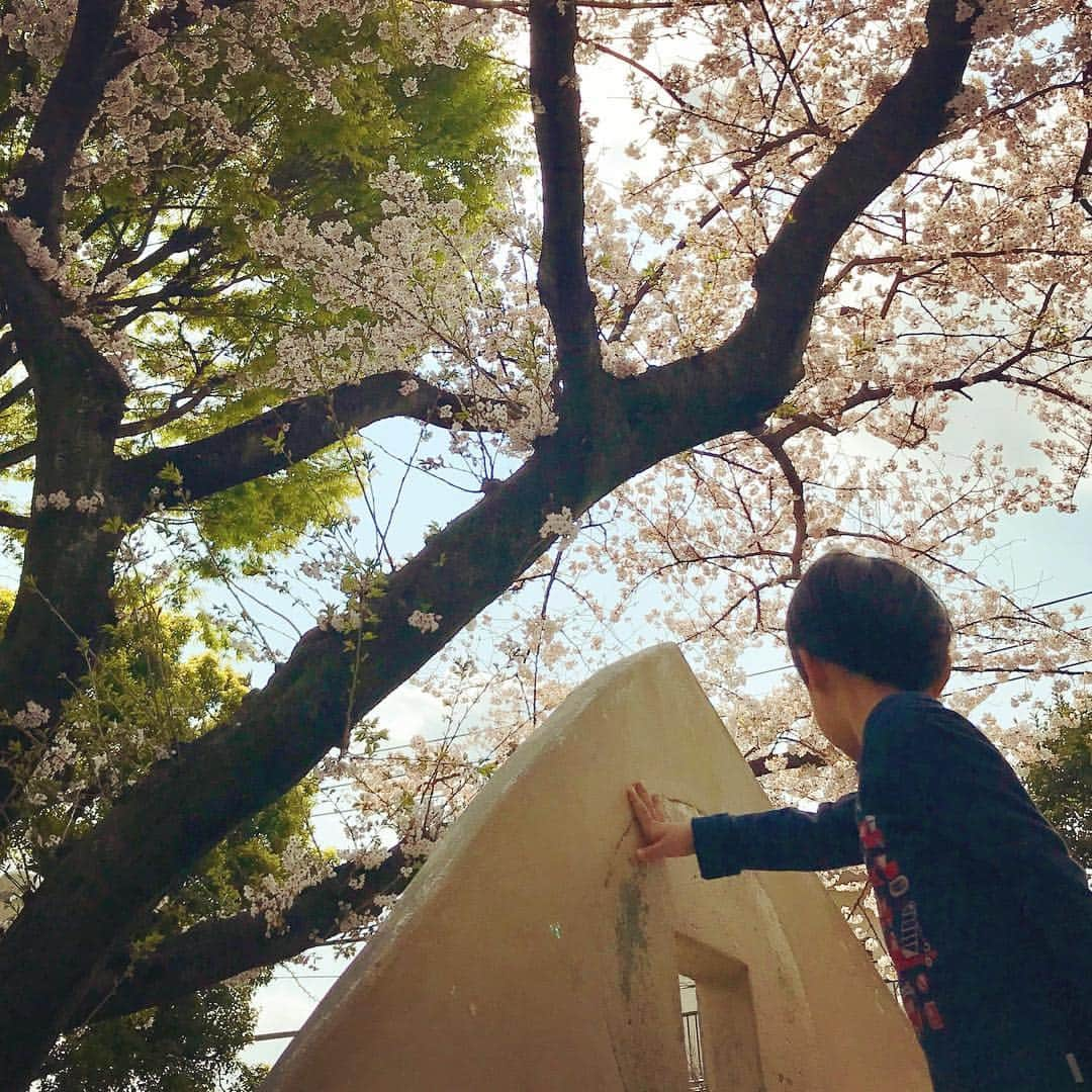 門脇舞以さんのインスタグラム写真 - (門脇舞以Instagram)「春爛漫🌸 #2歳2ヶ月 #5歳4ヶ月 #桜」4月7日 18時41分 - kadomaita